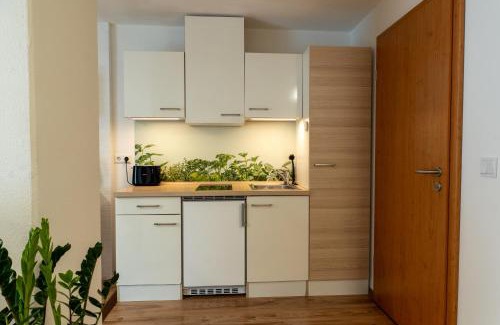 Weissenstein Apartment | Gemütliche Ferienwohnung "Zum Kalten Feld"