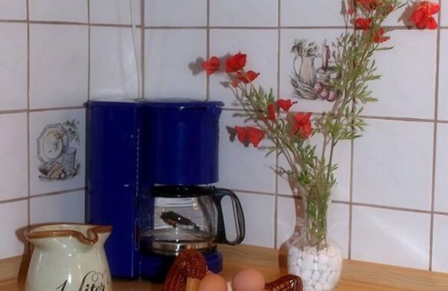 Arrach Apartment | Gemütliche Ferienwohnung (40qm) mit Dachgartenterrasse