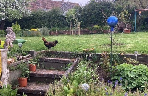 Roding Apartment | Gemütliche Ferienwohnung Ganz nah am Fluss