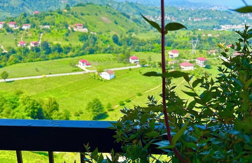 Zeytinlik House | geniş teraslı doğanın kalbinde şehire yakın bungalow