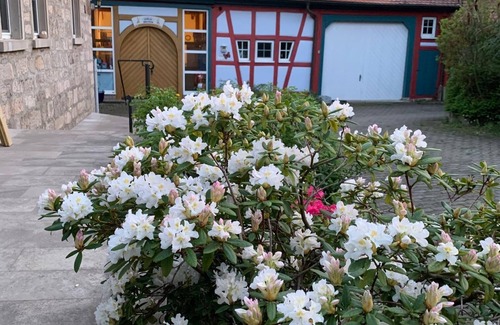 Nordenberg Apartment | Geräumige Ferienwohnung (80qm) mit kostenfreiem WLAN und großem Balkon