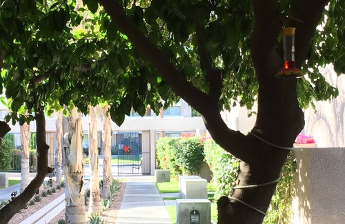 Baristo Condo | GetAways at Vista Mirage