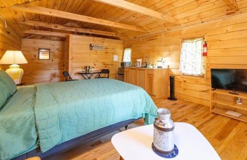 Williamstown Ski Chalet | GGgs Cabin