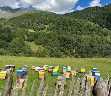 Racha-Lechkhumi and Lower Svaneti House | Ghebi Inn