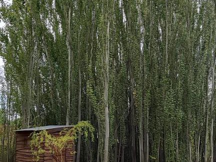 Tunuyan House | Giallonero