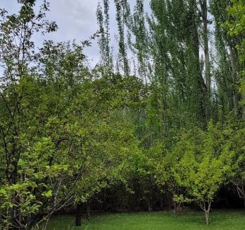 Tunuyan House | Giallonero