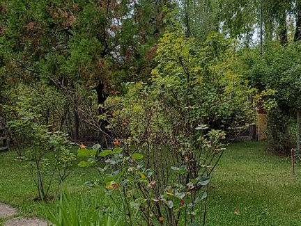 Tunuyan House | Giallonero