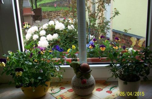 Doebeln House | Giesis Wohlfühloase