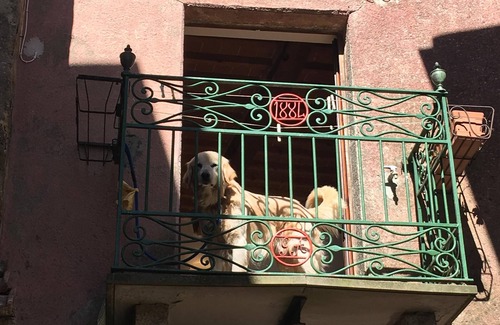 Giglio Castello Apartment | Giglio Island, spacious and cozy apartment in the medieval village of Castello