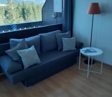 Bad Goisern Apartment | Gipfelsieg am Hallstättersee