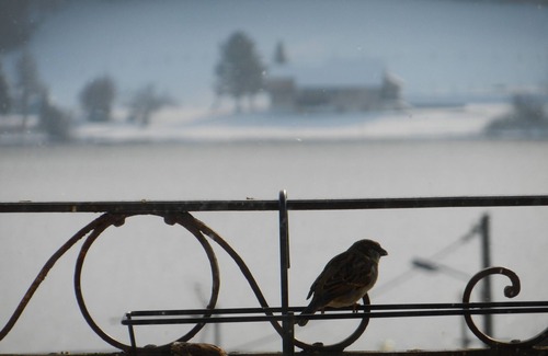 Saint-Point-Lac Apartment | GITE AND CHAMBRES D'HÔTES ON THE SHORES OF LAC SAINT POINT