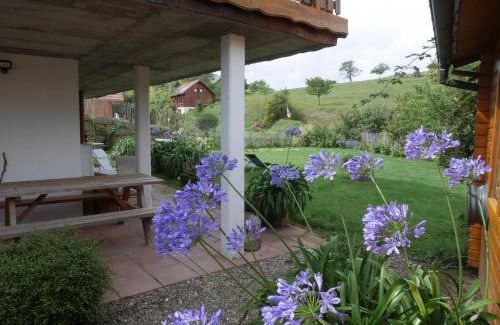 Labaroche Apartment | gite au coin du feu à 25mn de Colmar au calme avec jardin clos