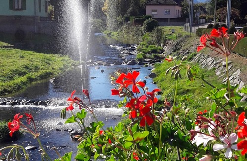 Luttenbach-pres-Munster Apartment | GITE AU JARDIN DE MON ENFANCE 4 persons MUNSTER Valley