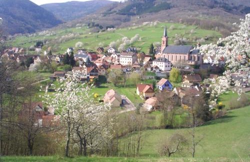 Breitenbach House | Gite Bellevue