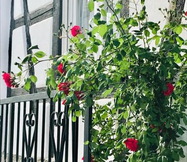 Niedernai House | Gite chez Annette et Pierre Weber