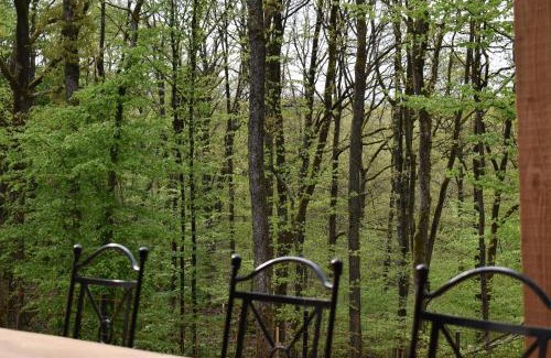 Philippeville Ski Chalet | Gite cocon dans la forêt