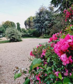 Languidic House | Gite cosycool