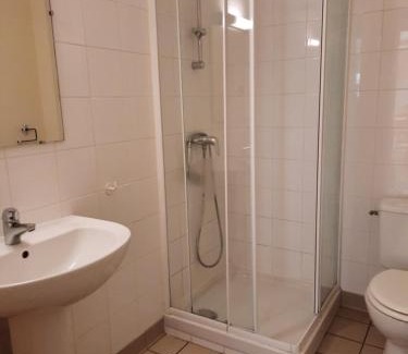 Saint-Brieuc-de-Mauron House | Gite de la ville aux oies