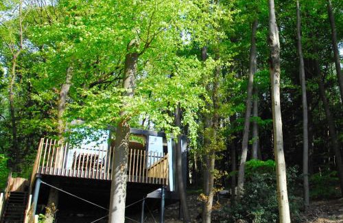 Niveze Villa | Gite des Bois de Spa