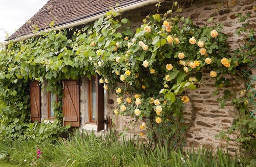 Benayes Cottage | Gîte du Puy Raynaud 3-5 pers. large property with garden, swimming pool and ponds