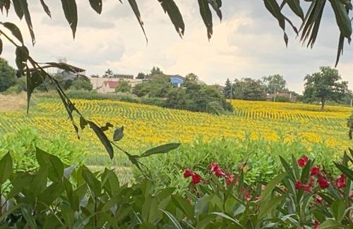Etrez Apartment | Gite les Combes Bellevue à Etrez, Appartement à la campagne
