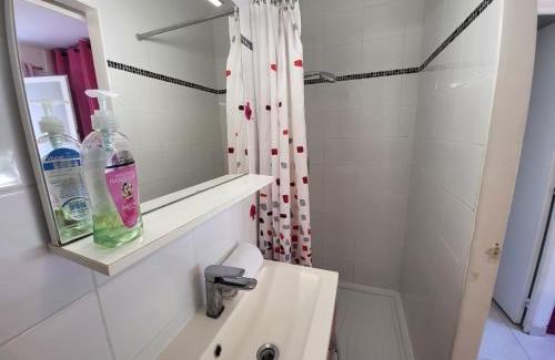 Aussonne Apartment | GITE VENITIA T2