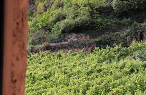 Turckheim Apartment | Gite 'WATCHER