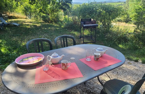 La Tour-d'Aigues Apartment | Gite with swimming pool to share in the middle of the vineyards. Pets accepted