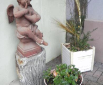 Marckolsheim House | Gites Petermann