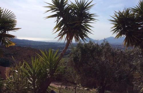 Eccica-Suarella Apartment | Gites Ugliastru PORTICCIO