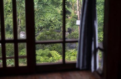 Paksong Other | Give Garden Eco ສວນສາຍທານ