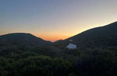 Mount Charleston Other | Glamping Tent High Roller