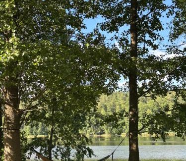 Vilnius County Other | Glamp Juodis