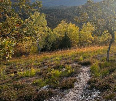 Kostel Other | GLAMPING BRUNDO - Tents and Cottage with SAUNA & JACUZZI