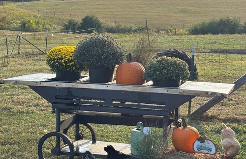 Mammoth Cave RV Rental | Glamping Tent at Noble Pine Campground