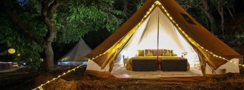 Burnt Ranch Other | Glamping Tent with Farm Meals, Hike Trails & Kayaks