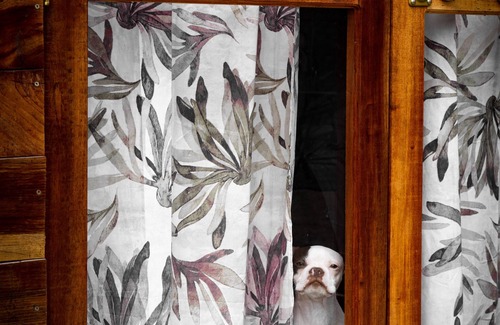 San Juan Bautista RV Rental | Glamping Toneles y Viñedos en la Ruta del Pisco