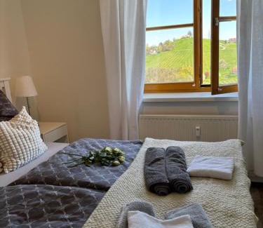 Glanz an der Weinstrasse Apartment | Glanz und Gloria Weingartenapartment an der Kellerstraße, viele Buschenschänke, sehr ruhige Lage, herrliche Aussicht!