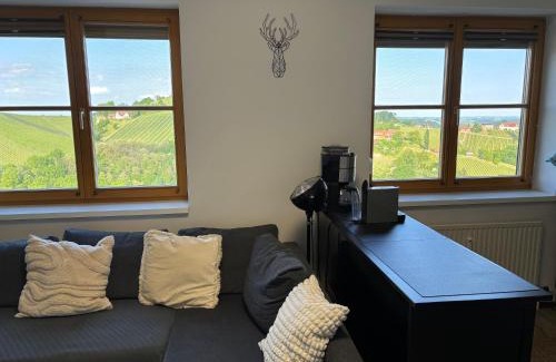 Glanz an der Weinstrasse Apartment | Glanz und Gloria Weingartenapartment an der Kellerstraße, viele Buschenschänke, sehr ruhige Lage, herrliche Aussicht!