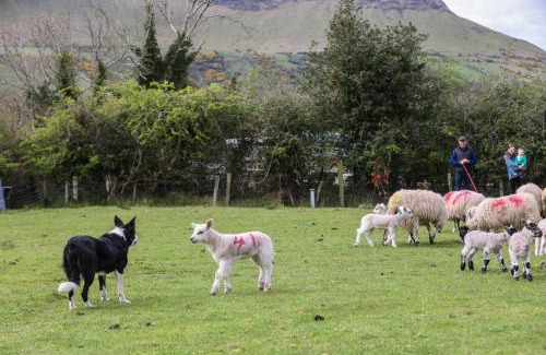 Glenariff House | GlenHaven Holiday Accommodation