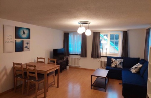 St. Gallen Apartment | Global Citizen 7