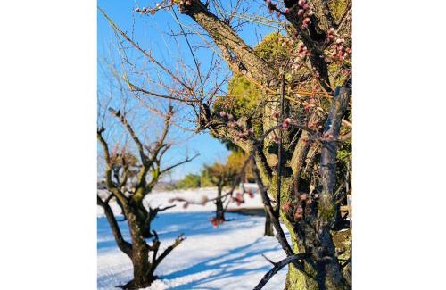 Koga Apartment | GLOCE古河 Kominka -翠sui- 築150年伝統工法 歴史と自然を感じる古民家 蕎麦屋併設