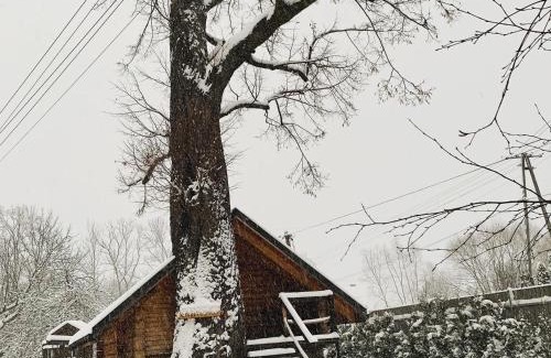 Andrychow Apartment | Gniazdko Pod Lipą