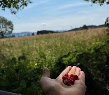 Miedzylesie House | Gnievo