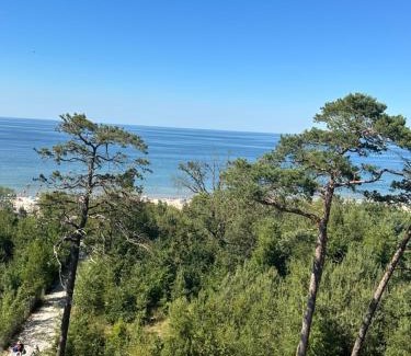 Wrzosowo Apartment | Gold Apartament z widokiem na morze Dziwnówek