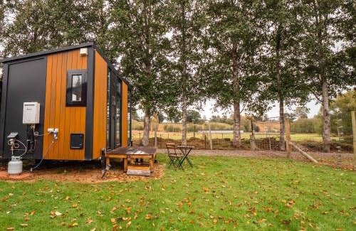 Lawrence House | Gold Nugget 1 by Tiny Away