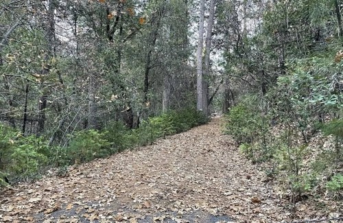 Phoenix Lake-Cedar Ridge House | Gold Rush Historic Location with Luxurious Recreational Vehicle with Porch