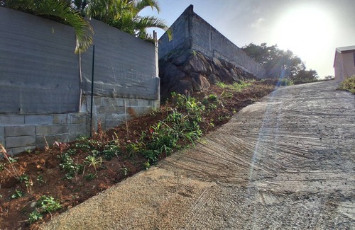 Sainte-Rose House | Golden apricot