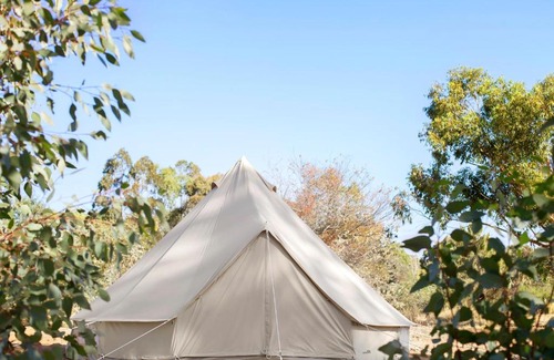 Clydesdale Other | Goldfield Glamping