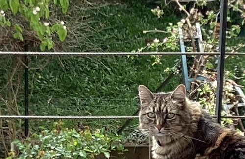 Plaine des Bouchers Apartment | Good Life à Strasbourg